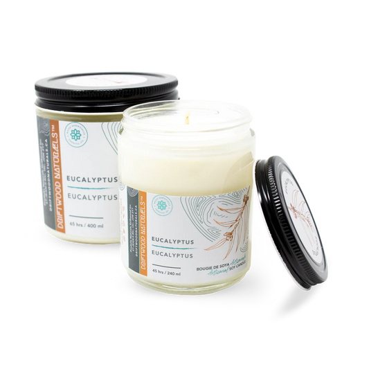 Eucalyptus - Artisanal Soy Candle