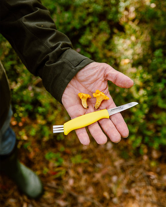 Marttiini Mushroom Knife with Brush and Sheath