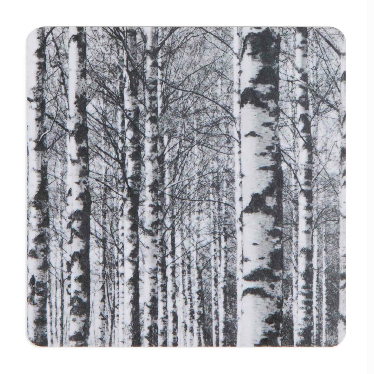 Black & White Birch Forest Coaster