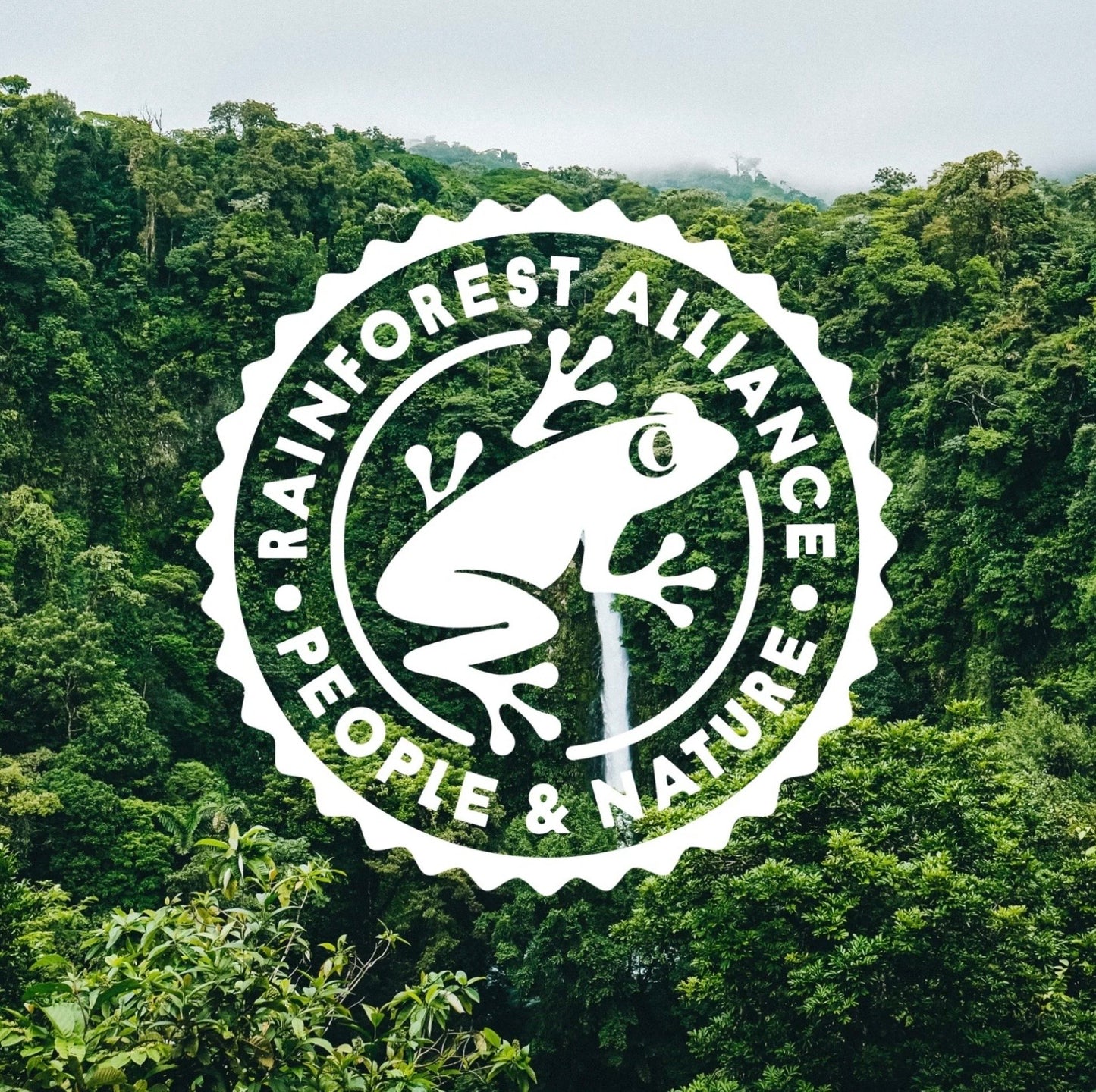 Moomin Besties - Tea Assortment