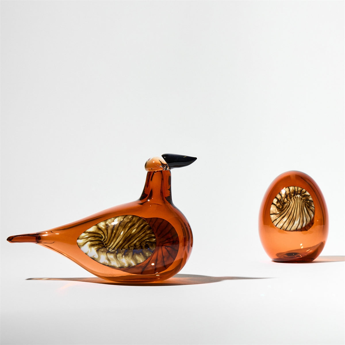 Annual Bird 2026 Lakla Seville Orange