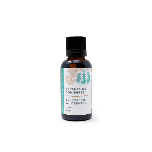 Evergreen Wilderness - Synergy Pure Essential Oil