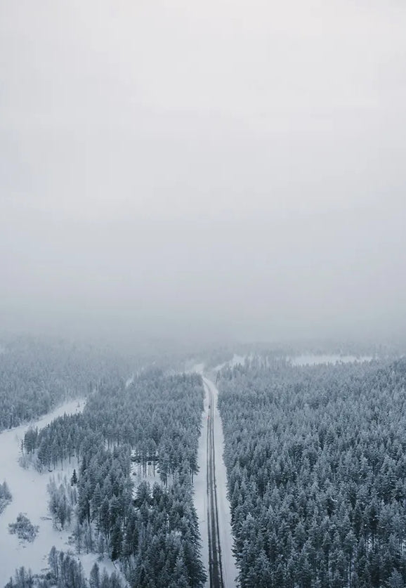 Nordic Winter Cookbook