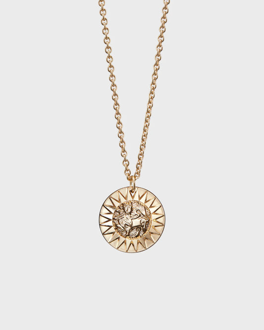 Sun Lion Large Bronze Pendant