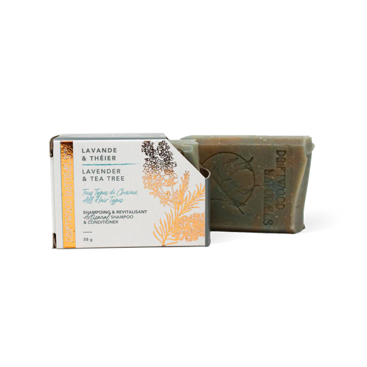 Lavender and Tea Tree - Artisanal Shampoo and Conditioner