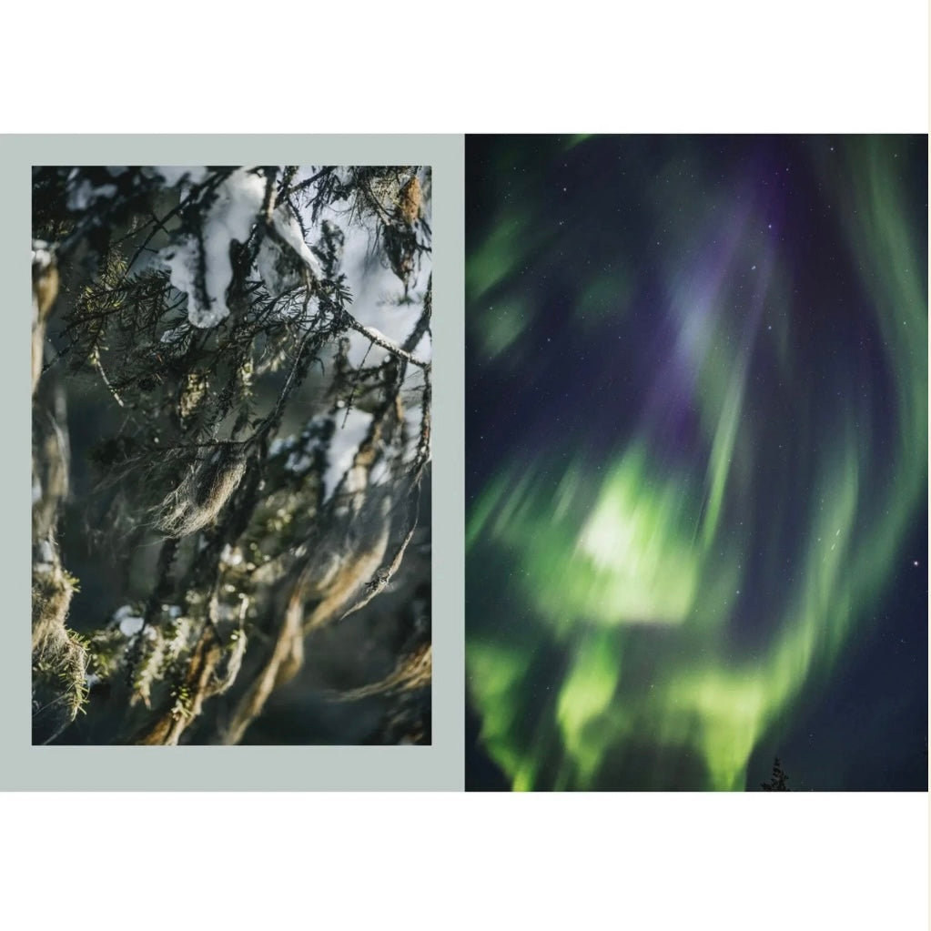 Nordic Magic