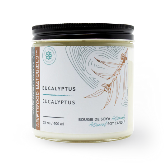 Eucalyptus - Artisanal Soy Candle