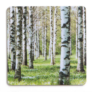 Green Birch Forest Coaster